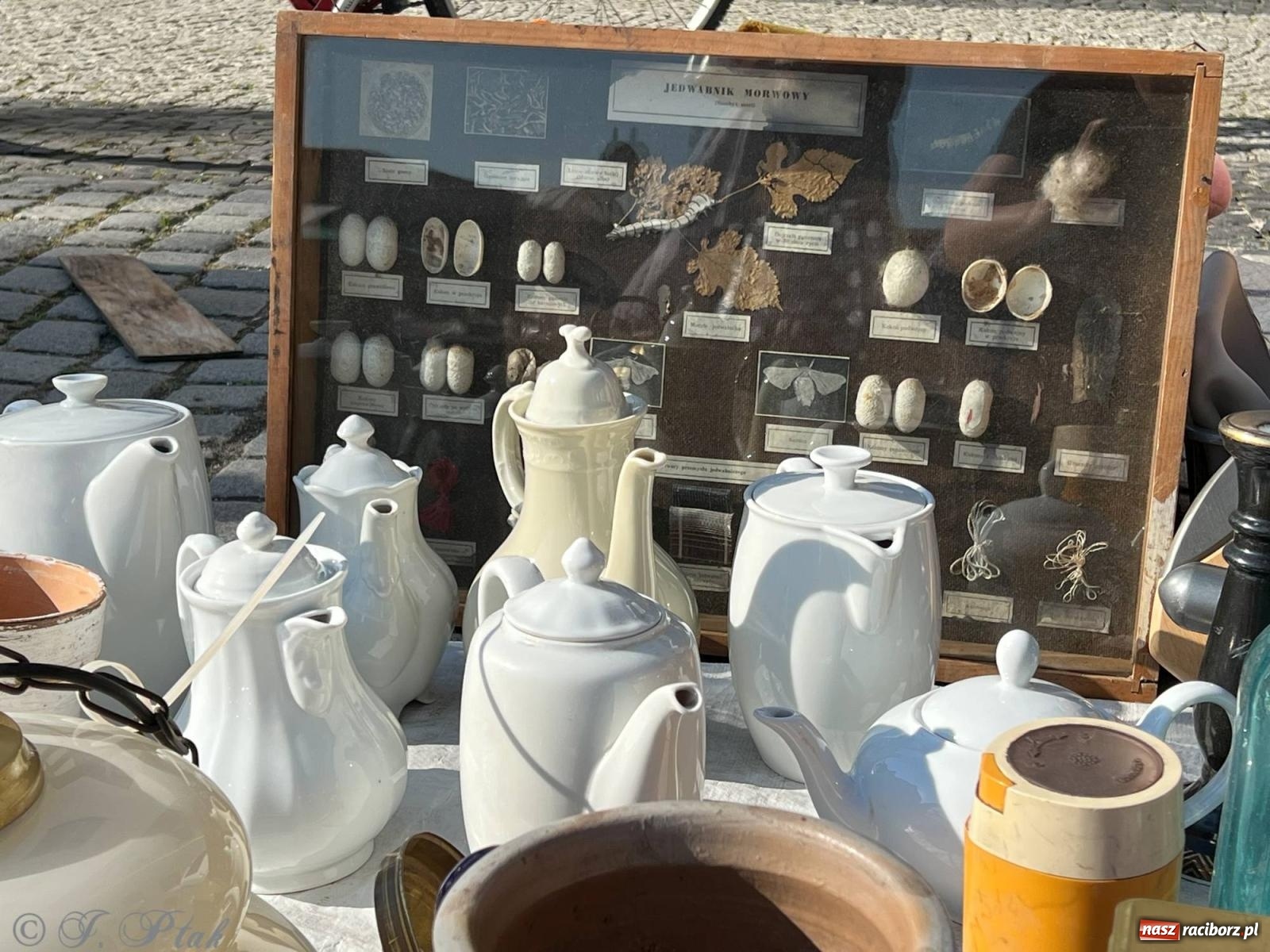 Zdjęcie w galerii na portalu naszraciborz.pl: Lipcowy targ staroci w Raciborzu wiadomości z regionu