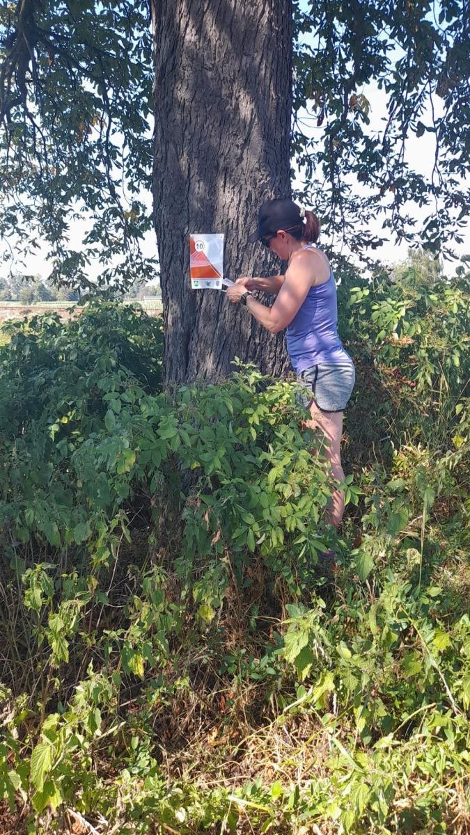 Zdjęcie w galerii na portalu naszraciborz.pl: Rajd rowerowy na orientację po gminie Pietrowice Wielkie wiadomości z regionu