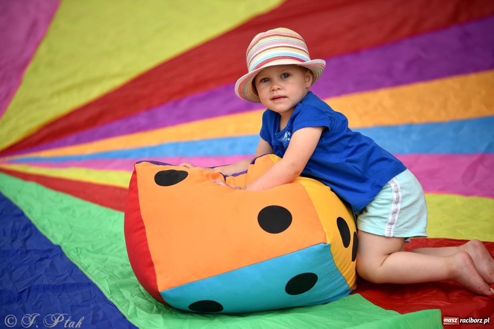 Zdjęcie w galerii na portalu naszraciborz.pl: Dwudzieste urodziny firmy OstrogNet wiadomości z regionu