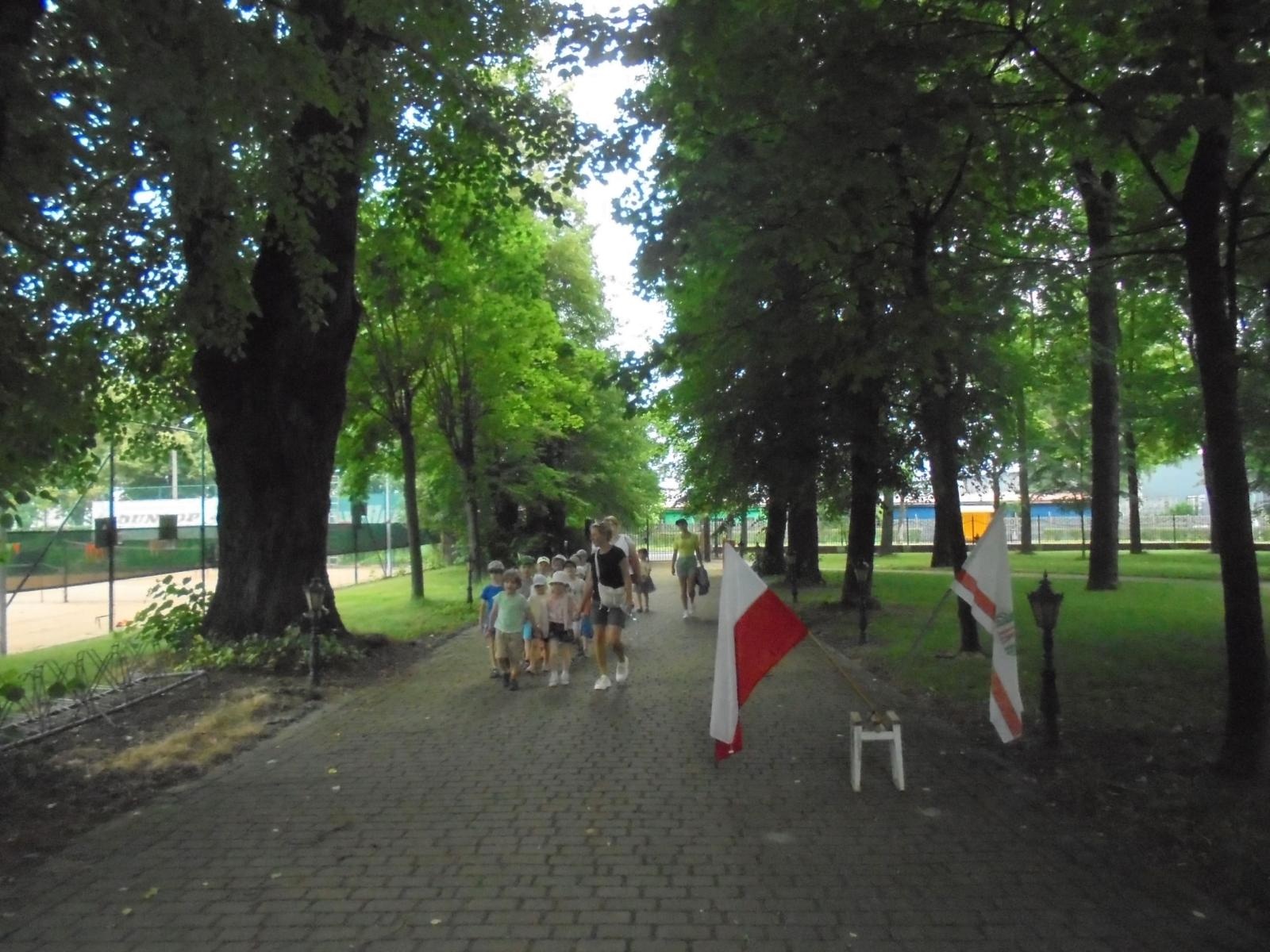 Zdjęcie w galerii na portalu naszraciborz.pl: Motylki opanowały tenisowy kort wiadomości z regionu