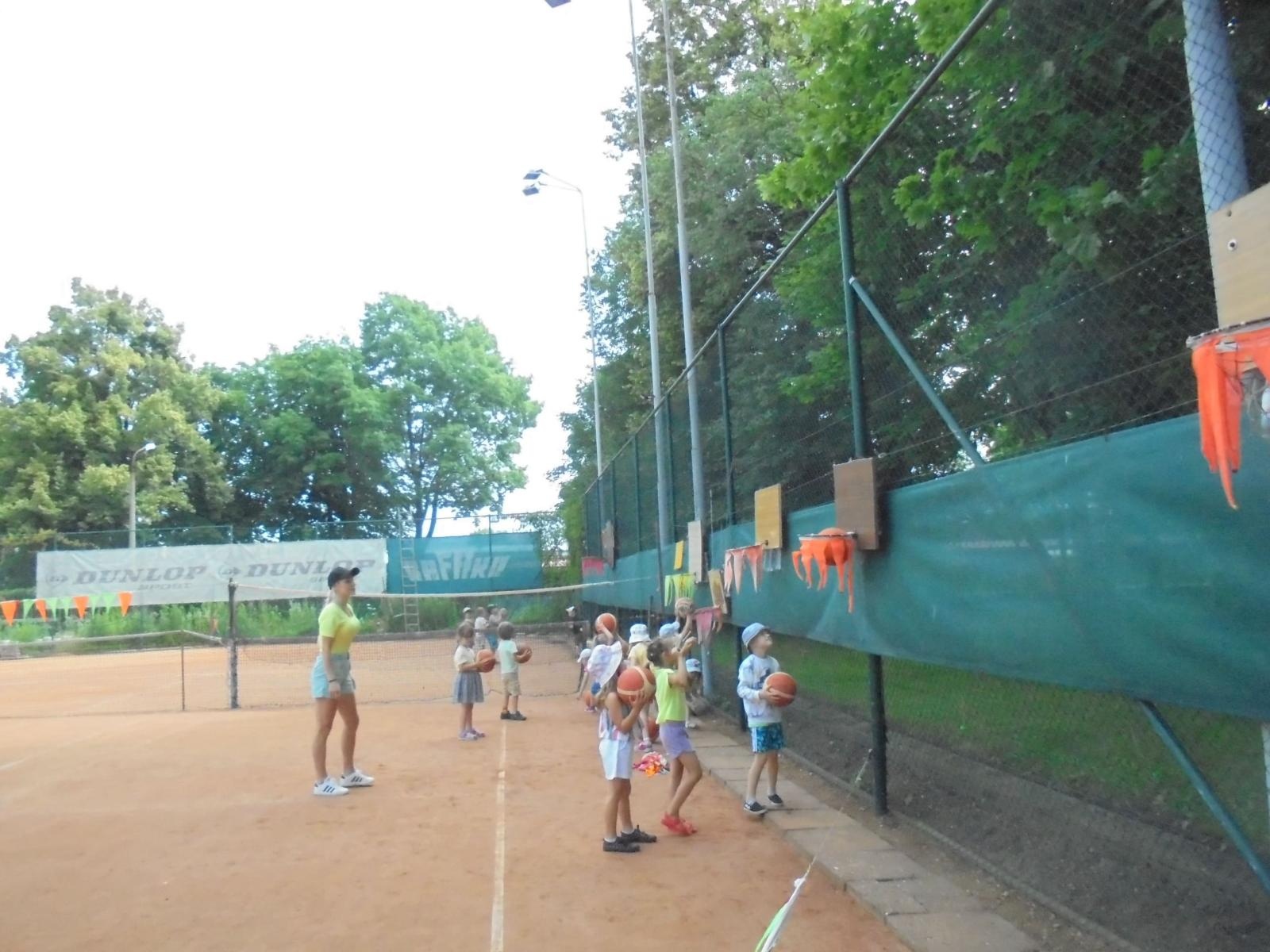 Zdjęcie w galerii na portalu naszraciborz.pl: Motylki opanowały tenisowy kort wiadomości z regionu