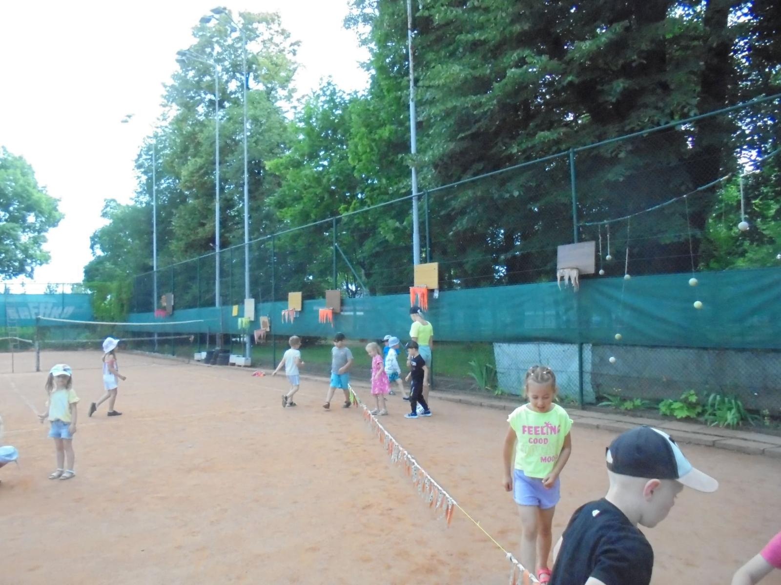 Zdjęcie w galerii na portalu naszraciborz.pl: Motylki opanowały tenisowy kort wiadomości z regionu