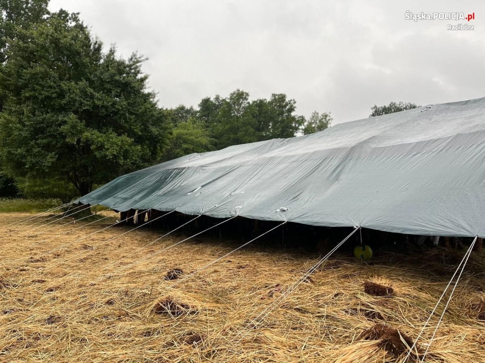 Zdjęcie w galerii na portalu naszraciborz.pl: Od nocy trwały poszukiwania 15-letniego harcerza z obozu w Kuźni Raciborskiej [AKTUALIZACJA] wiadomości z regionu