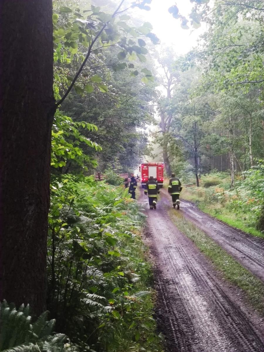 Zdjęcie w galerii na portalu naszraciborz.pl: Od nocy trwały poszukiwania 15-letniego harcerza z obozu w Kuźni Raciborskiej [AKTUALIZACJA] wiadomości z regionu