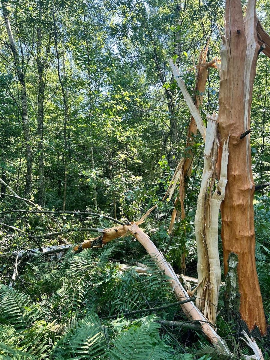 Zdjęcie w galerii na portalu naszraciborz.pl: Piorun uderzył w dom na Brzeziu wiadomości z regionu