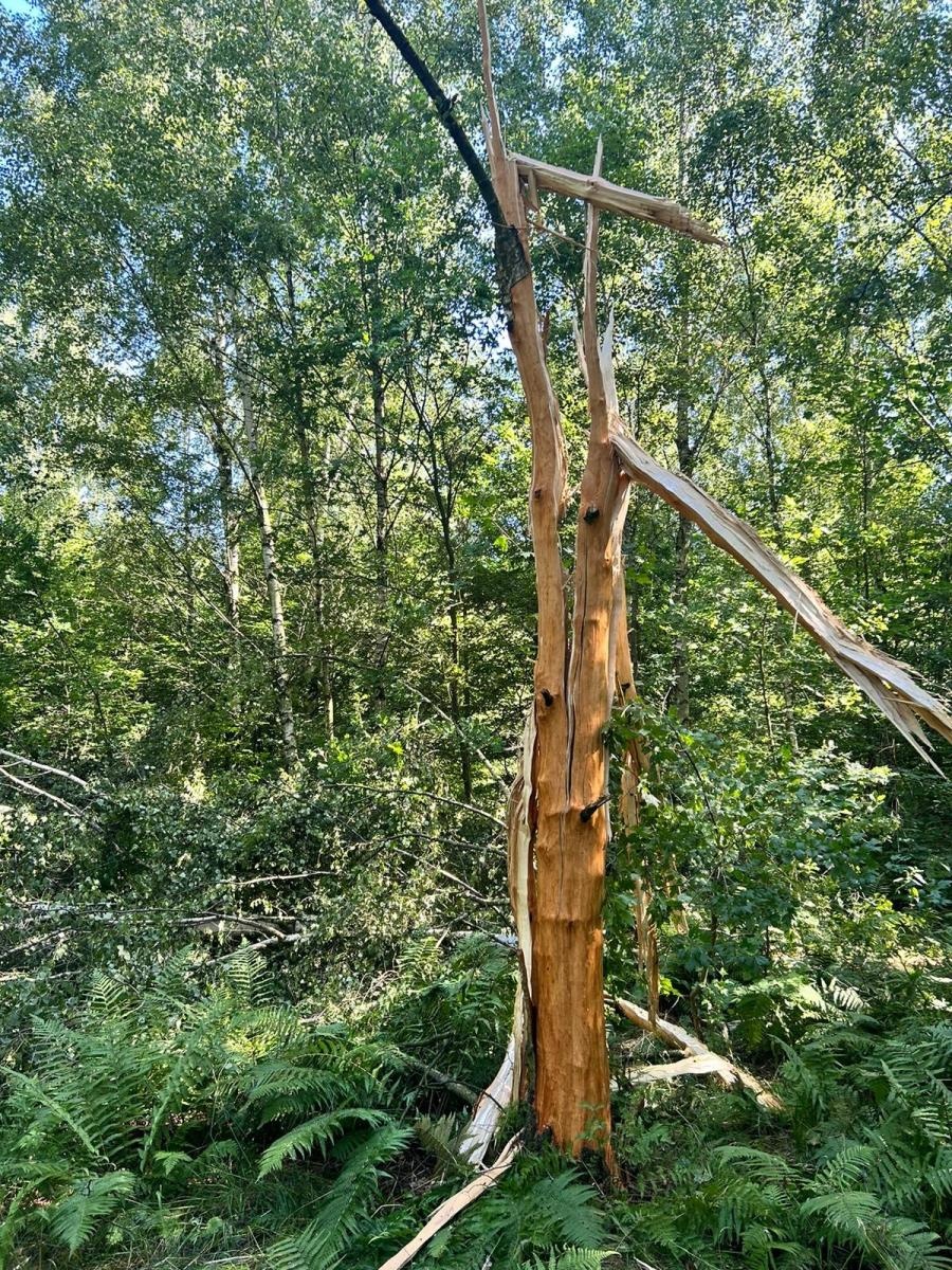 Zdjęcie w galerii na portalu naszraciborz.pl: Piorun uderzył w dom na Brzeziu wiadomości z regionu