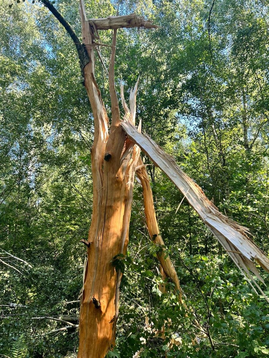 Zdjęcie w galerii na portalu naszraciborz.pl: Piorun uderzył w dom na Brzeziu wiadomości z regionu