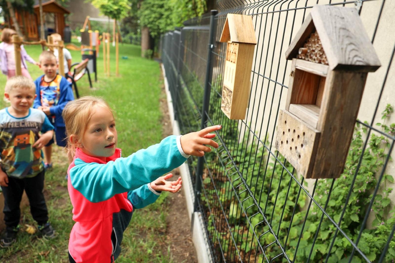 Zdjęcie w galerii na portalu naszraciborz.pl: Obfite zbiory warzyw i owoców w Przedszkolu nr 16 i ZSP nr 4 wiadomości z regionu