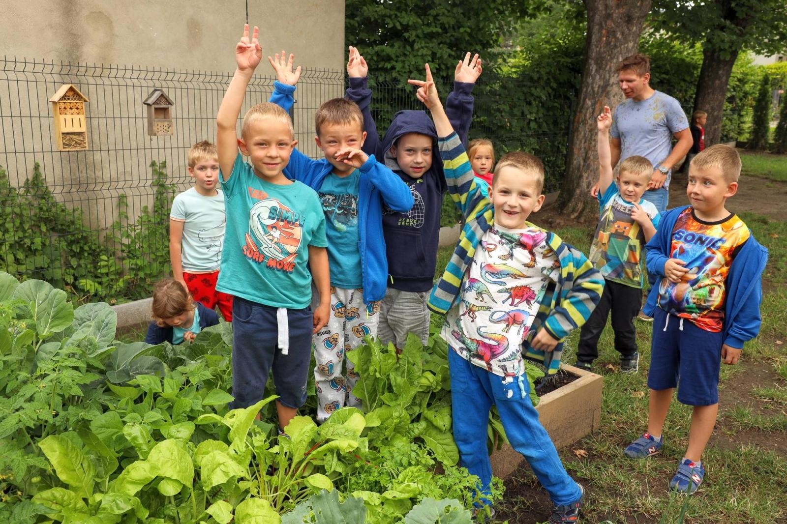 Zdjęcie w galerii na portalu naszraciborz.pl: Obfite zbiory warzyw i owoców w Przedszkolu nr 16 i ZSP nr 4 wiadomości z regionu