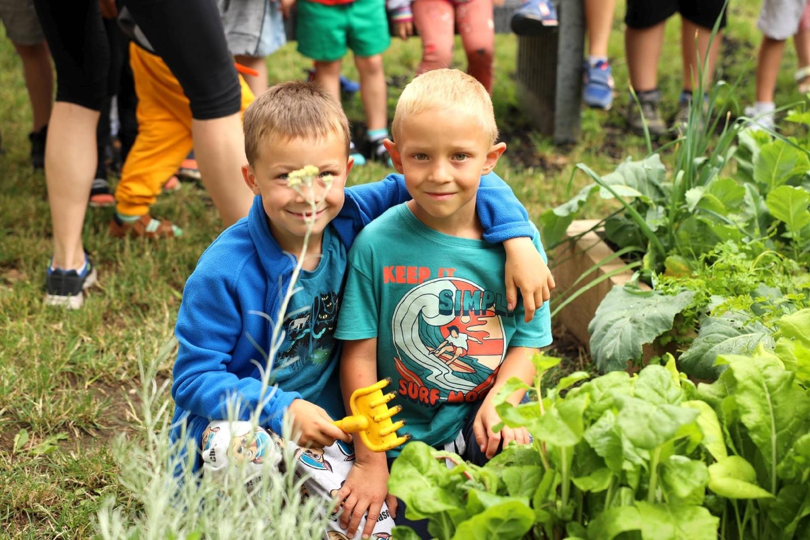 Zdjęcie w galerii na portalu naszraciborz.pl: Obfite zbiory warzyw i owoców w Przedszkolu nr 16 i ZSP nr 4 wiadomości z regionu