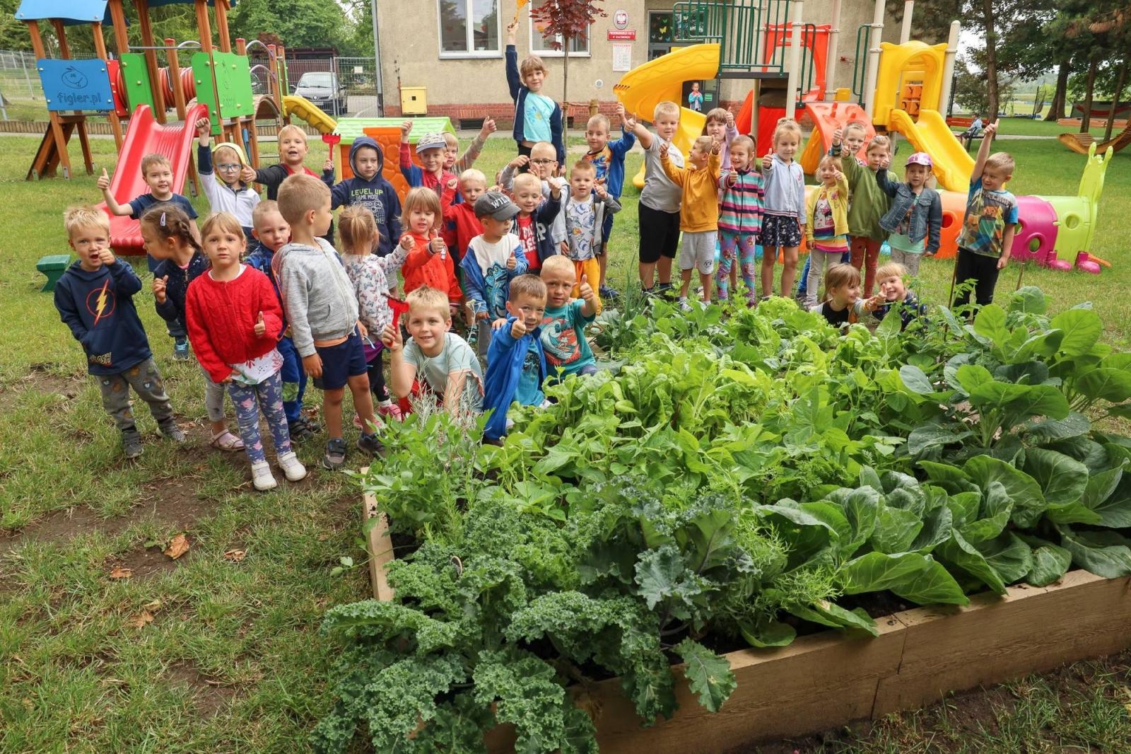 Zdjęcie w galerii na portalu naszraciborz.pl: Obfite zbiory warzyw i owoców w Przedszkolu nr 16 i ZSP nr 4 wiadomości z regionu