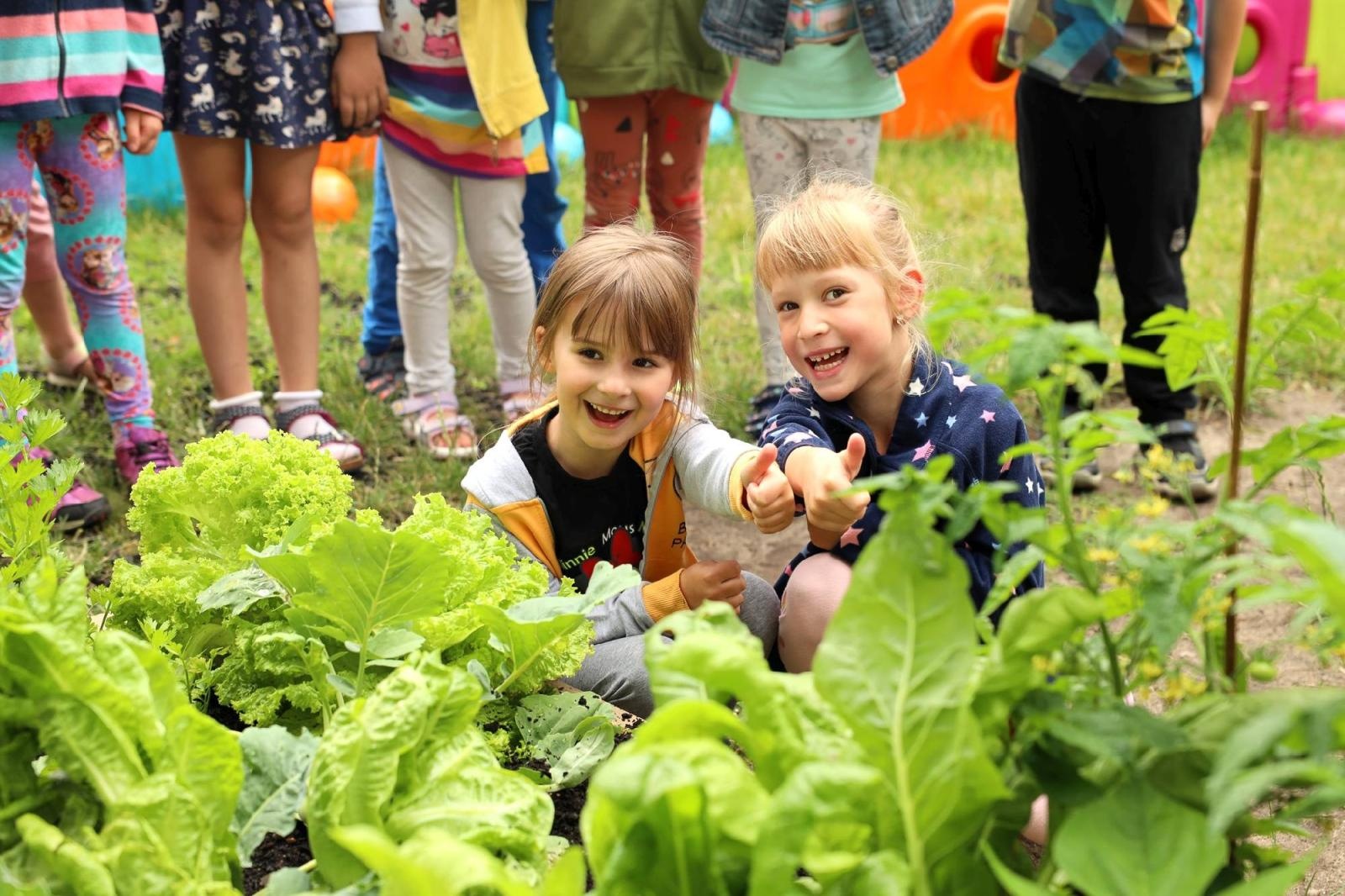 Zdjęcie w galerii na portalu naszraciborz.pl: Obfite zbiory warzyw i owoców w Przedszkolu nr 16 i ZSP nr 4 wiadomości z regionu