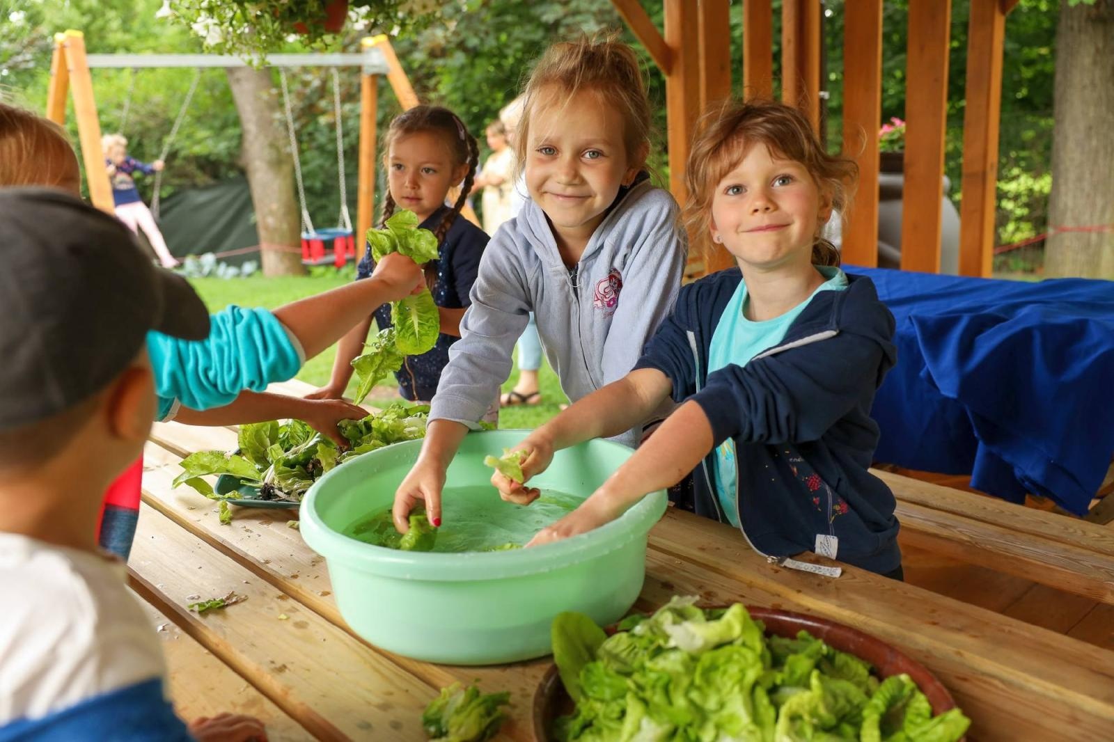 Zdjęcie w galerii na portalu naszraciborz.pl: Obfite zbiory warzyw i owoców w Przedszkolu nr 16 i ZSP nr 4 wiadomości z regionu