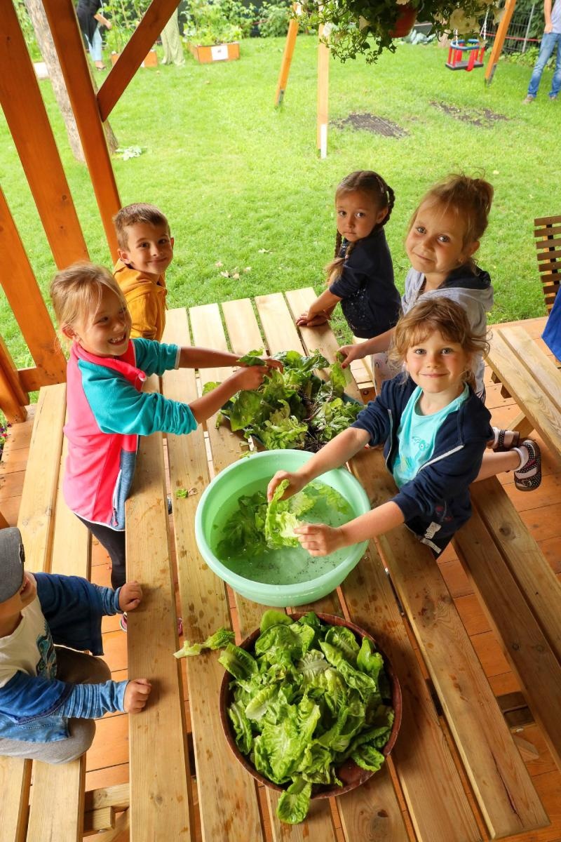 Zdjęcie w galerii na portalu naszraciborz.pl: Obfite zbiory warzyw i owoców w Przedszkolu nr 16 i ZSP nr 4 wiadomości z regionu