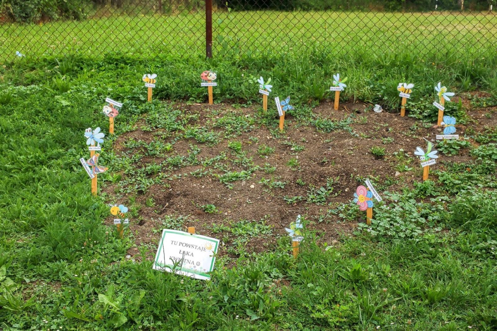 Zdjęcie w galerii na portalu naszraciborz.pl: Obfite zbiory warzyw i owoców w Przedszkolu nr 16 i ZSP nr 4 wiadomości z regionu