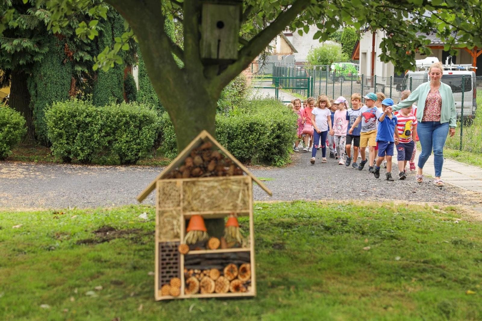 Zdjęcie w galerii na portalu naszraciborz.pl: Obfite zbiory warzyw i owoców w Przedszkolu nr 16 i ZSP nr 4 wiadomości z regionu