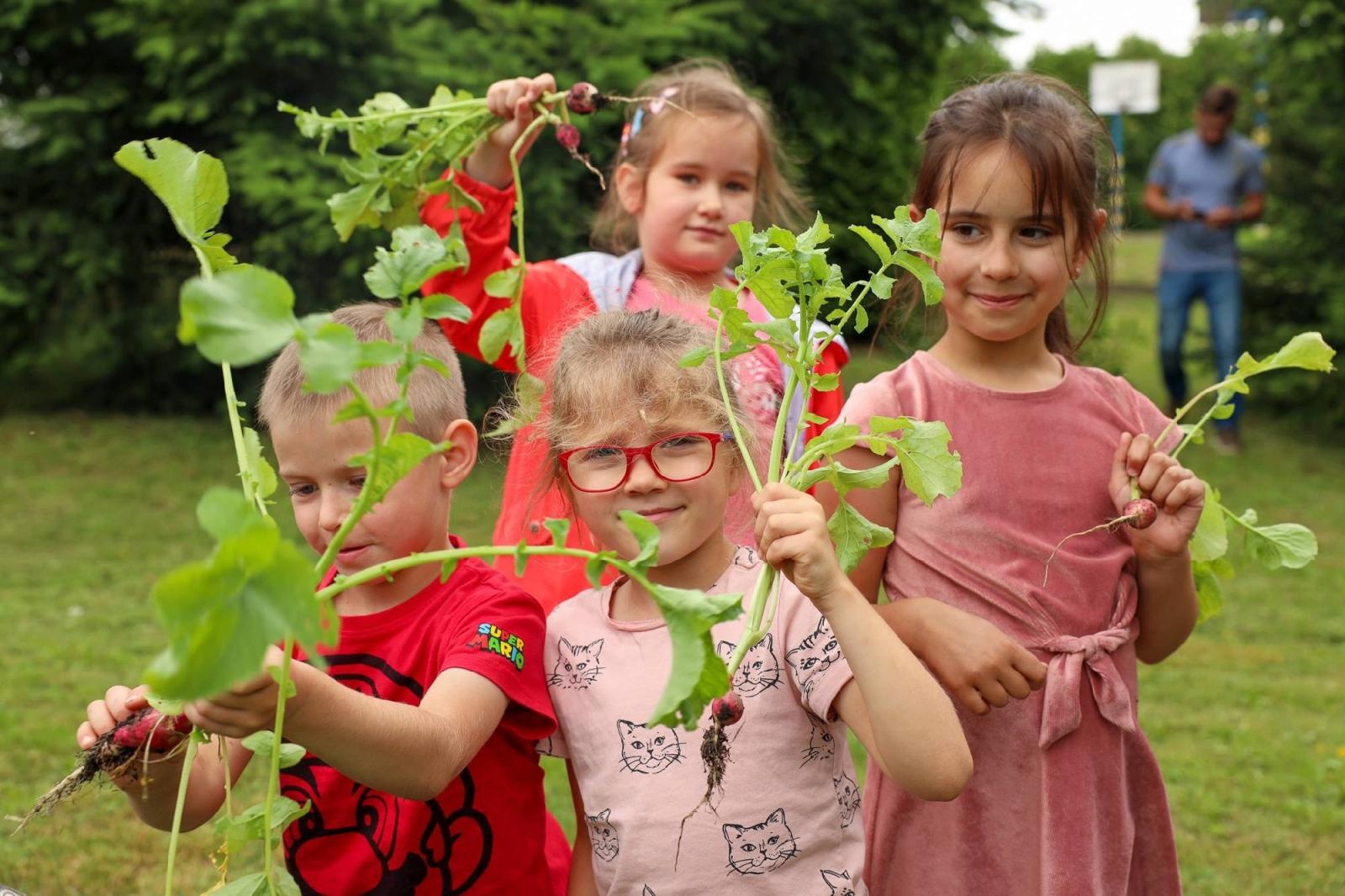 Zdjęcie w galerii na portalu naszraciborz.pl: Obfite zbiory warzyw i owoców w Przedszkolu nr 16 i ZSP nr 4 wiadomości z regionu