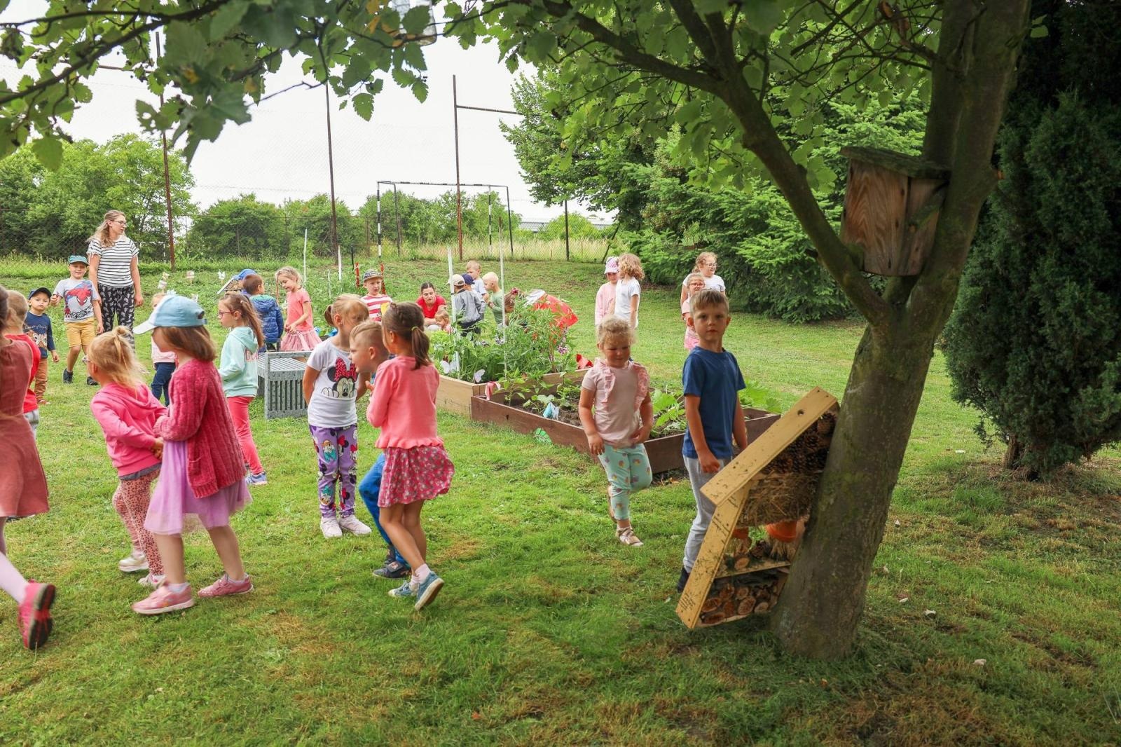 Zdjęcie w galerii na portalu naszraciborz.pl: Obfite zbiory warzyw i owoców w Przedszkolu nr 16 i ZSP nr 4 wiadomości z regionu