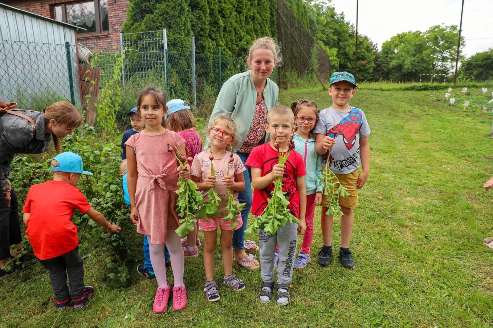Zdjęcie w galerii na portalu naszraciborz.pl: Obfite zbiory warzyw i owoców w Przedszkolu nr 16 i ZSP nr 4 wiadomości z regionu