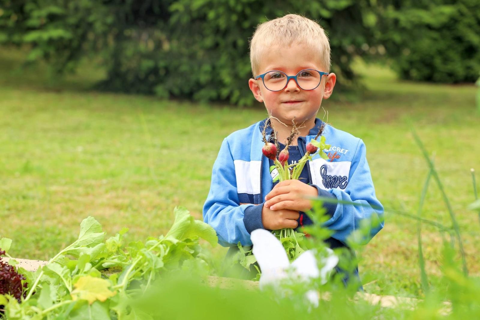 Zdjęcie w galerii na portalu naszraciborz.pl: Obfite zbiory warzyw i owoców w Przedszkolu nr 16 i ZSP nr 4 wiadomości z regionu