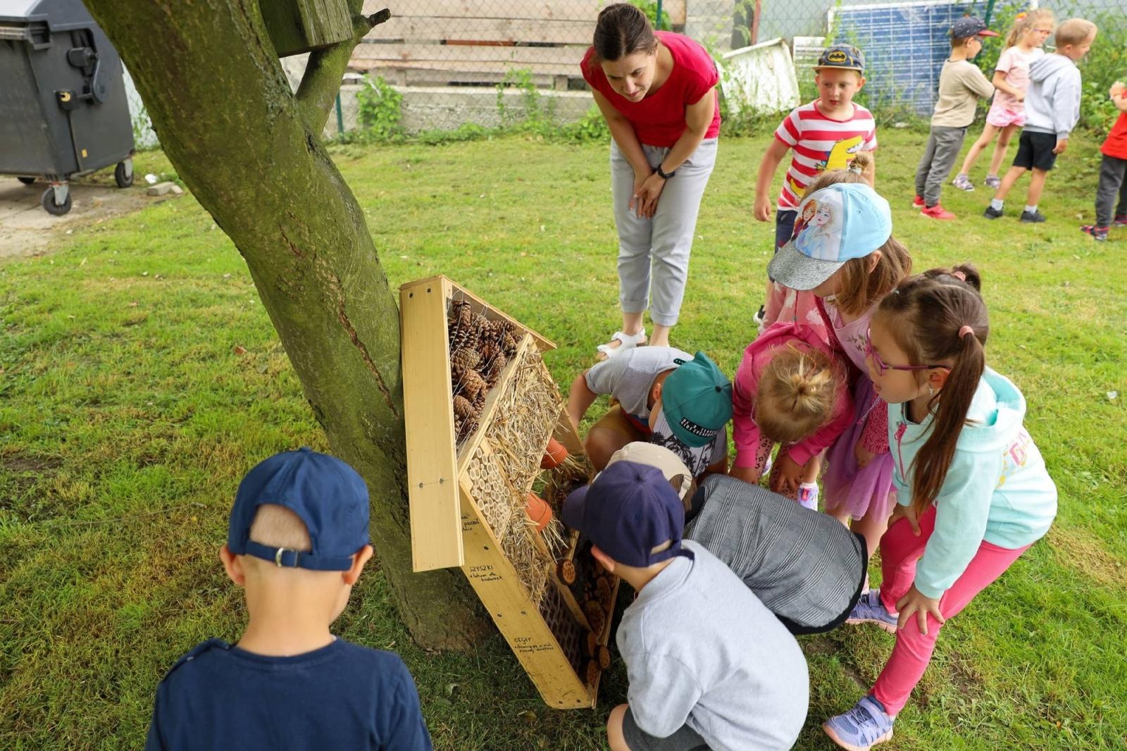 Zdjęcie w galerii na portalu naszraciborz.pl: Obfite zbiory warzyw i owoców w Przedszkolu nr 16 i ZSP nr 4 wiadomości z regionu