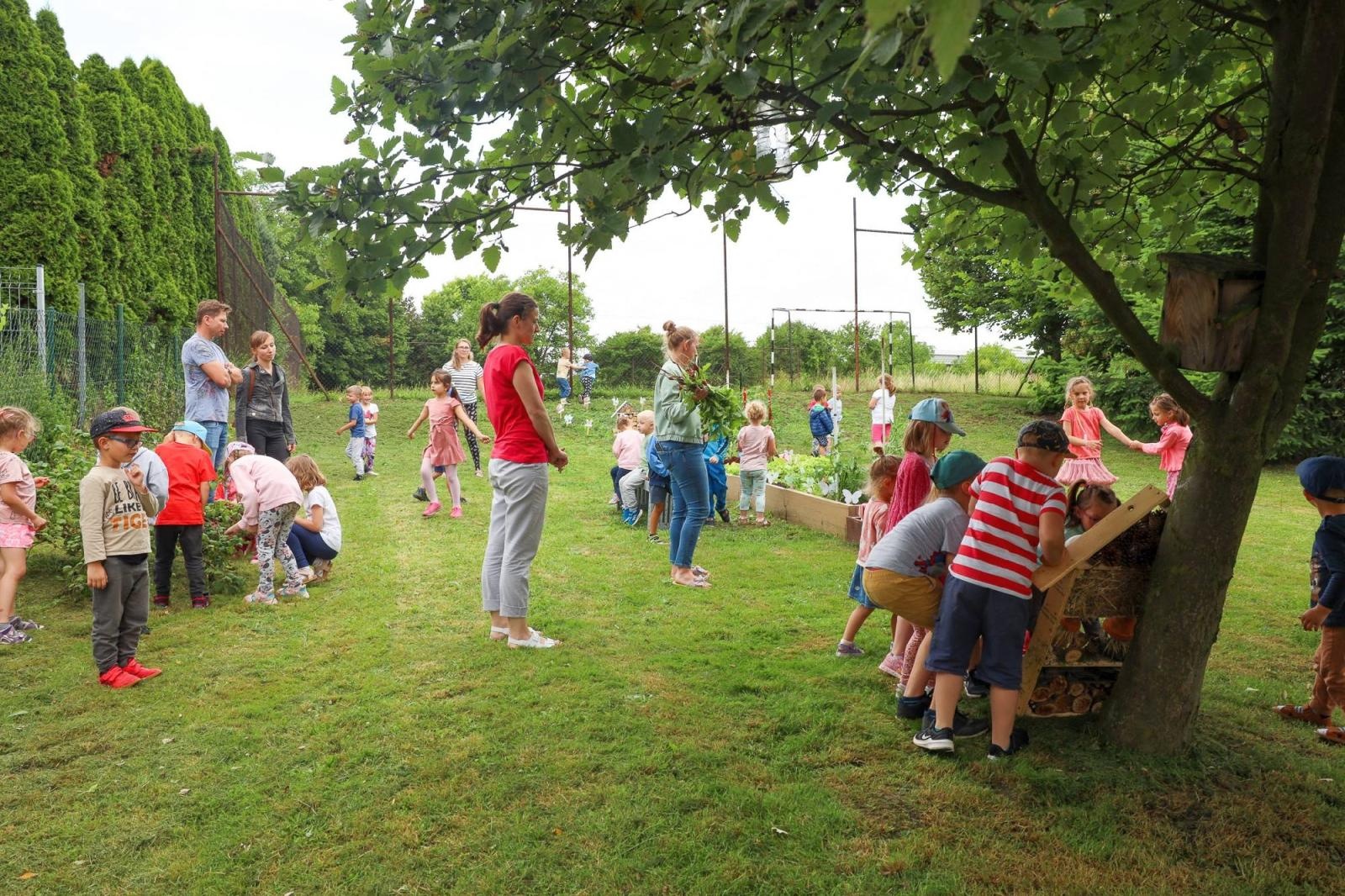 Zdjęcie w galerii na portalu naszraciborz.pl: Obfite zbiory warzyw i owoców w Przedszkolu nr 16 i ZSP nr 4 wiadomości z regionu