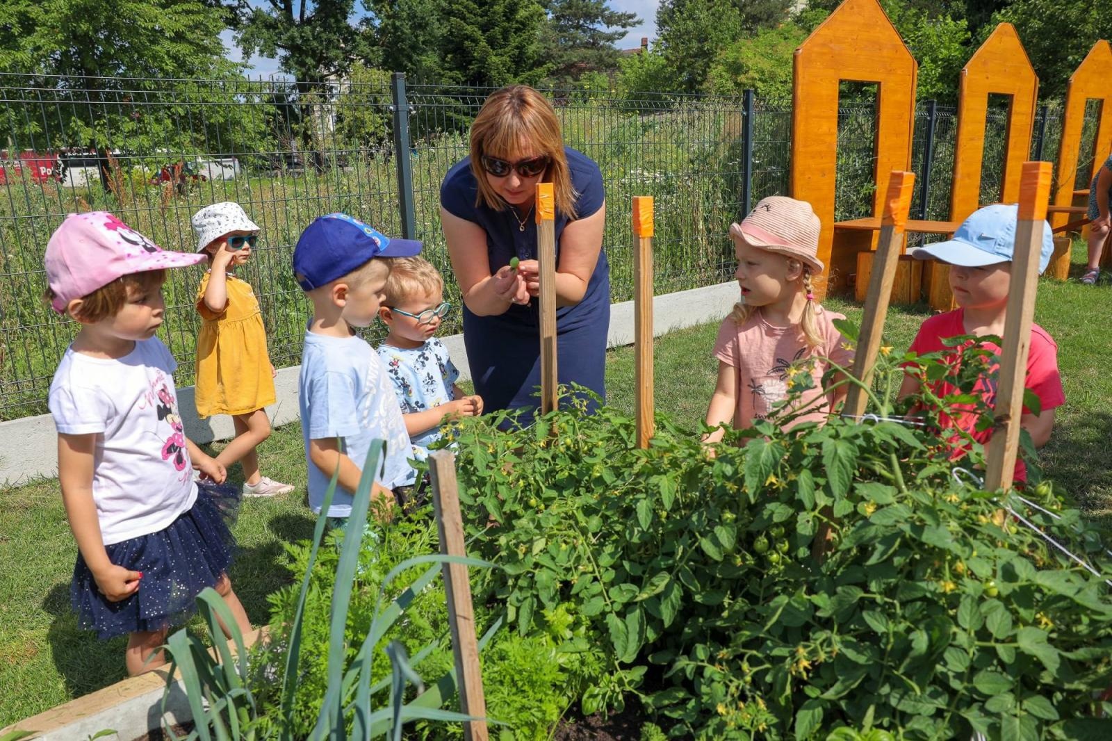 Zdjęcie w galerii na portalu naszraciborz.pl: Świeże warzywka w Bielskiej. Mali ogrodnicy z P24 wiadomości z regionu