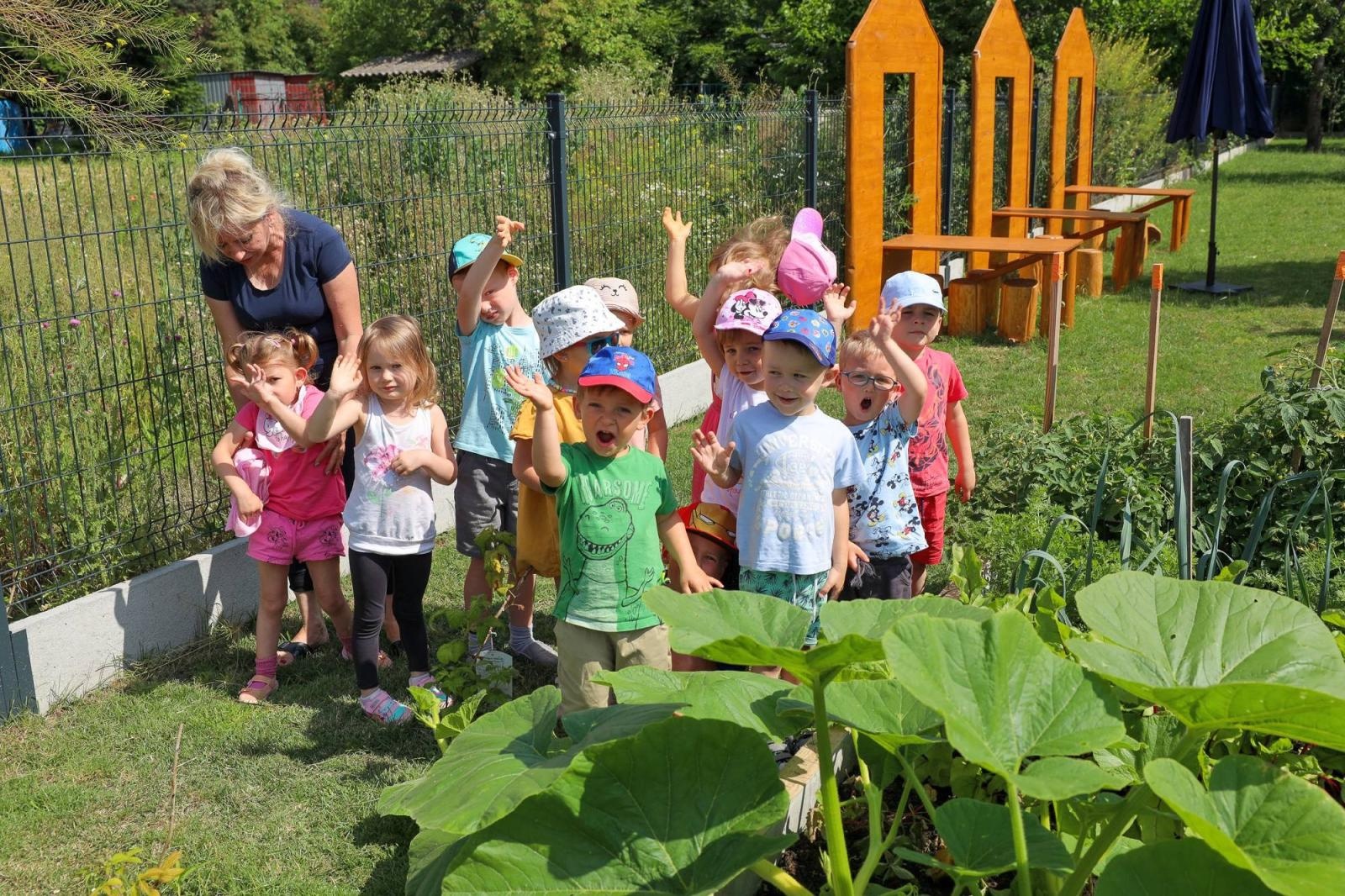 Zdjęcie w galerii na portalu naszraciborz.pl: Świeże warzywka w Bielskiej. Mali ogrodnicy z P24 wiadomości z regionu