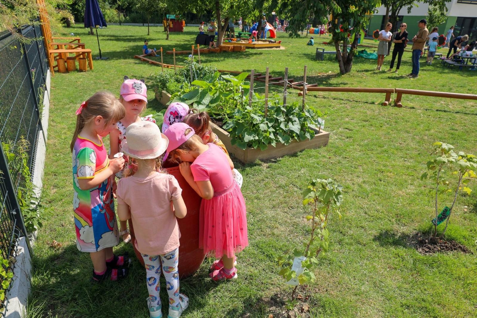 Zdjęcie w galerii na portalu naszraciborz.pl: Świeże warzywka w Bielskiej. Mali ogrodnicy z P24 wiadomości z regionu