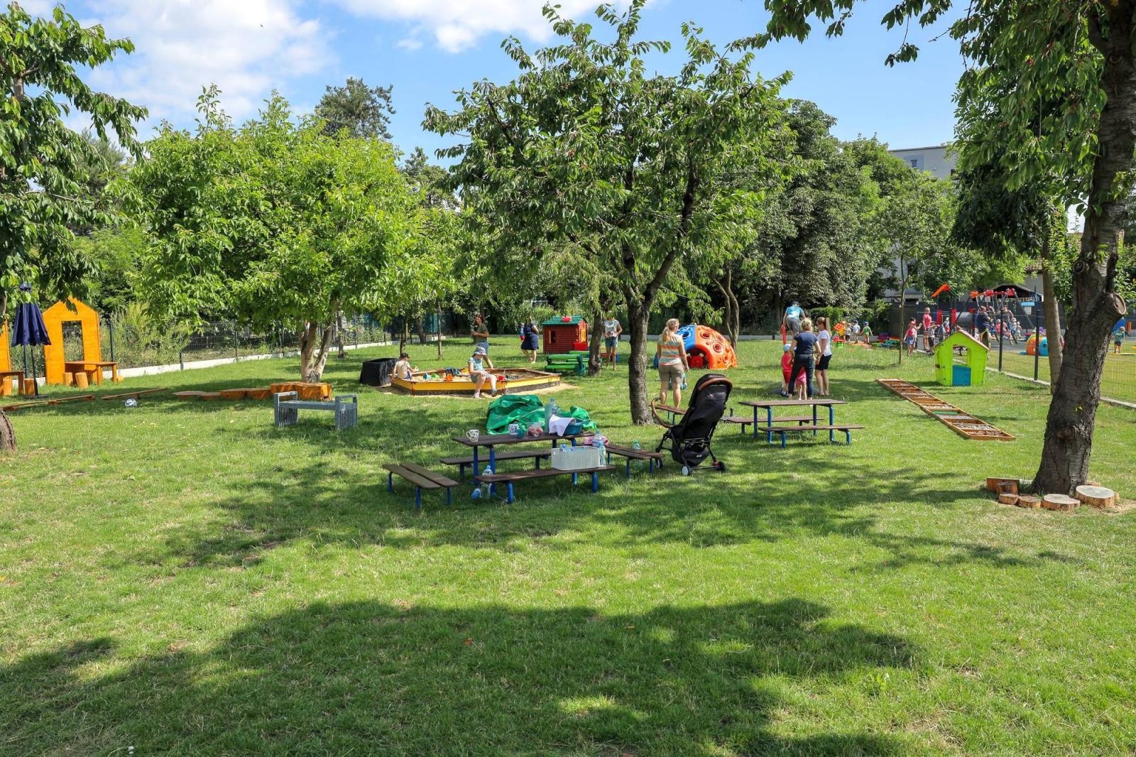 Zdjęcie w galerii na portalu naszraciborz.pl: Świeże warzywka w Bielskiej. Mali ogrodnicy z P24 wiadomości z regionu
