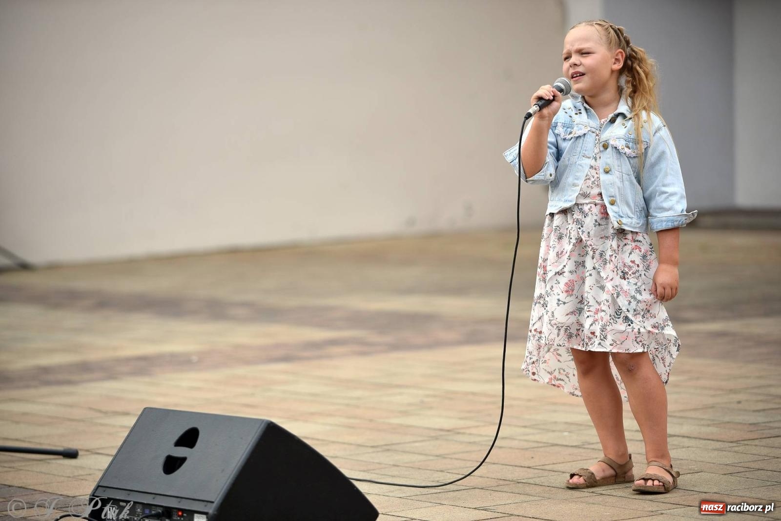Zdjęcie w galerii na portalu naszraciborz.pl: Letni koncert na raciborskim zamku [FOTO i WIDEO] wiadomości z regionu