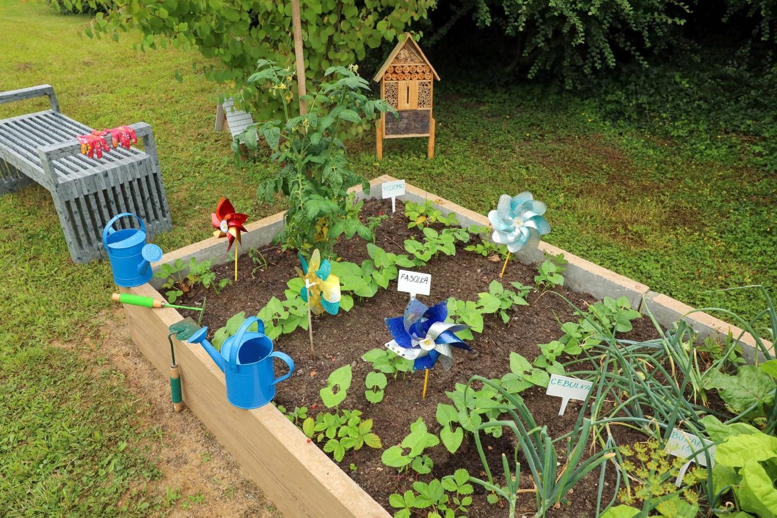 Zdjęcie w galerii na portalu naszraciborz.pl: Przedszkolaki delektują się smakiem owoców ze swoich ogródków wiadomości z regionu