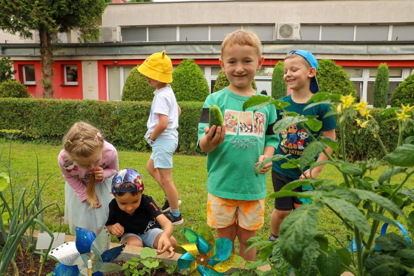 Zdjęcie w galerii na portalu naszraciborz.pl: Przedszkolaki delektują się smakiem owoców ze swoich ogródków wiadomości z regionu