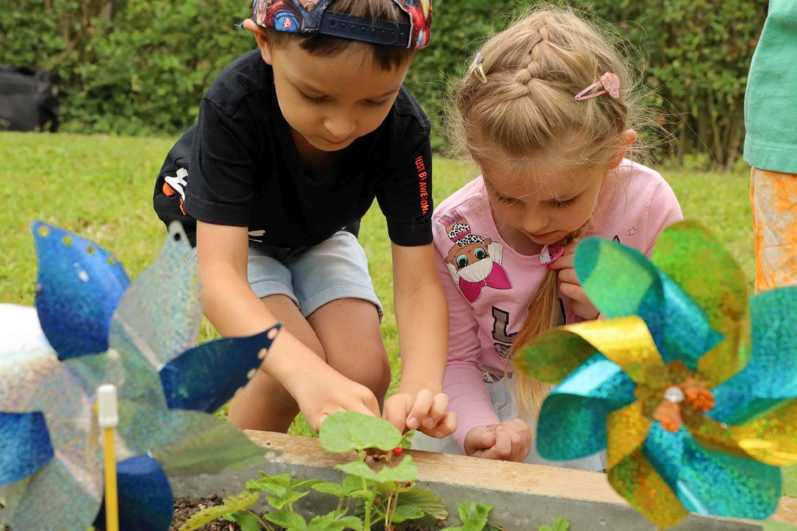 Zdjęcie w galerii na portalu naszraciborz.pl: Przedszkolaki delektują się smakiem owoców ze swoich ogródków wiadomości z regionu