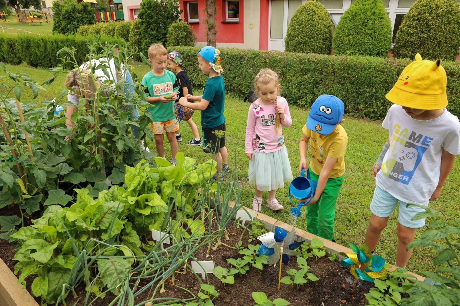 Zdjęcie w galerii na portalu naszraciborz.pl: Przedszkolaki delektują się smakiem owoców ze swoich ogródków wiadomości z regionu