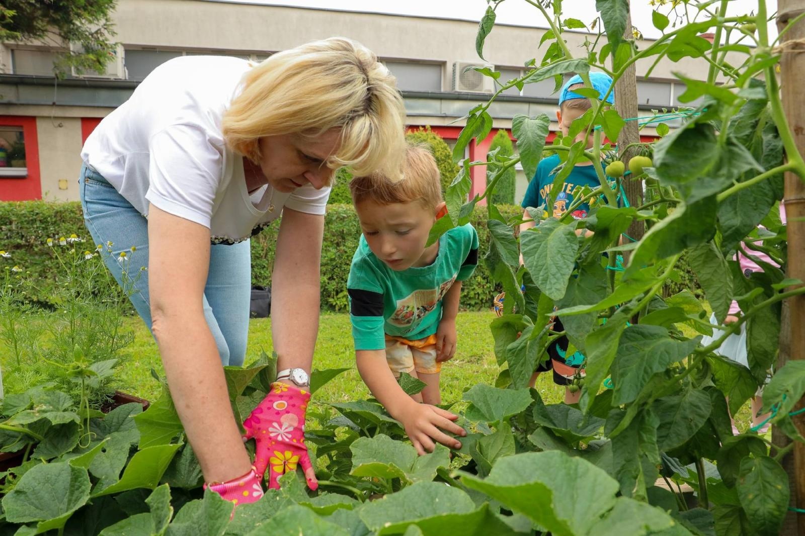 Zdjęcie w galerii na portalu naszraciborz.pl: Przedszkolaki delektują się smakiem owoców ze swoich ogródków wiadomości z regionu