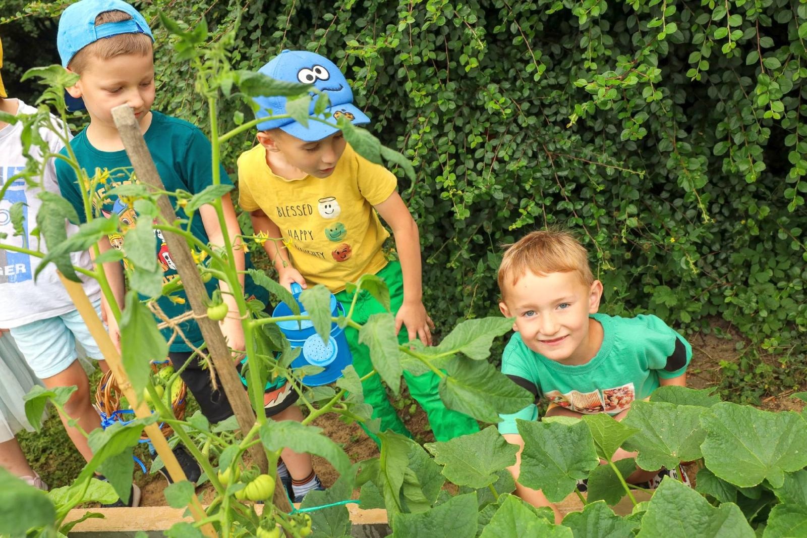 Zdjęcie w galerii na portalu naszraciborz.pl: Przedszkolaki delektują się smakiem owoców ze swoich ogródków wiadomości z regionu