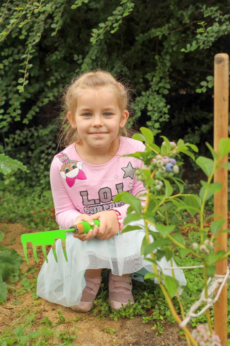 Zdjęcie w galerii na portalu naszraciborz.pl: Przedszkolaki delektują się smakiem owoców ze swoich ogródków wiadomości z regionu