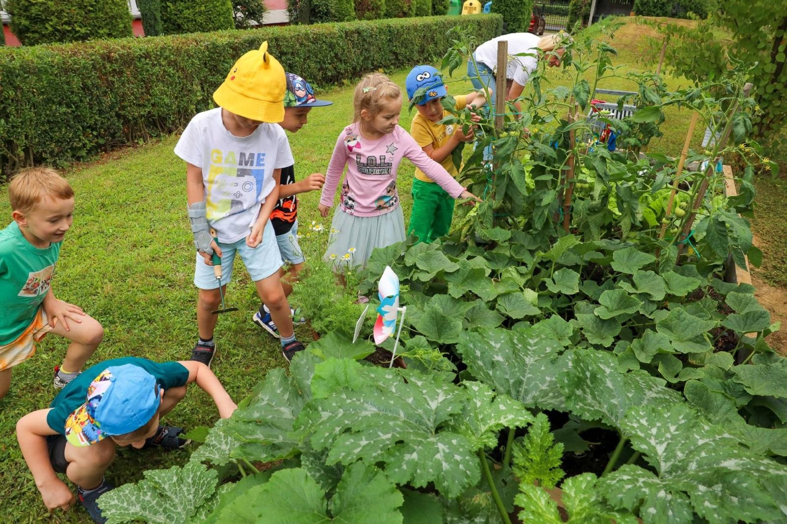 Zdjęcie w galerii na portalu naszraciborz.pl: Przedszkolaki delektują się smakiem owoców ze swoich ogródków wiadomości z regionu
