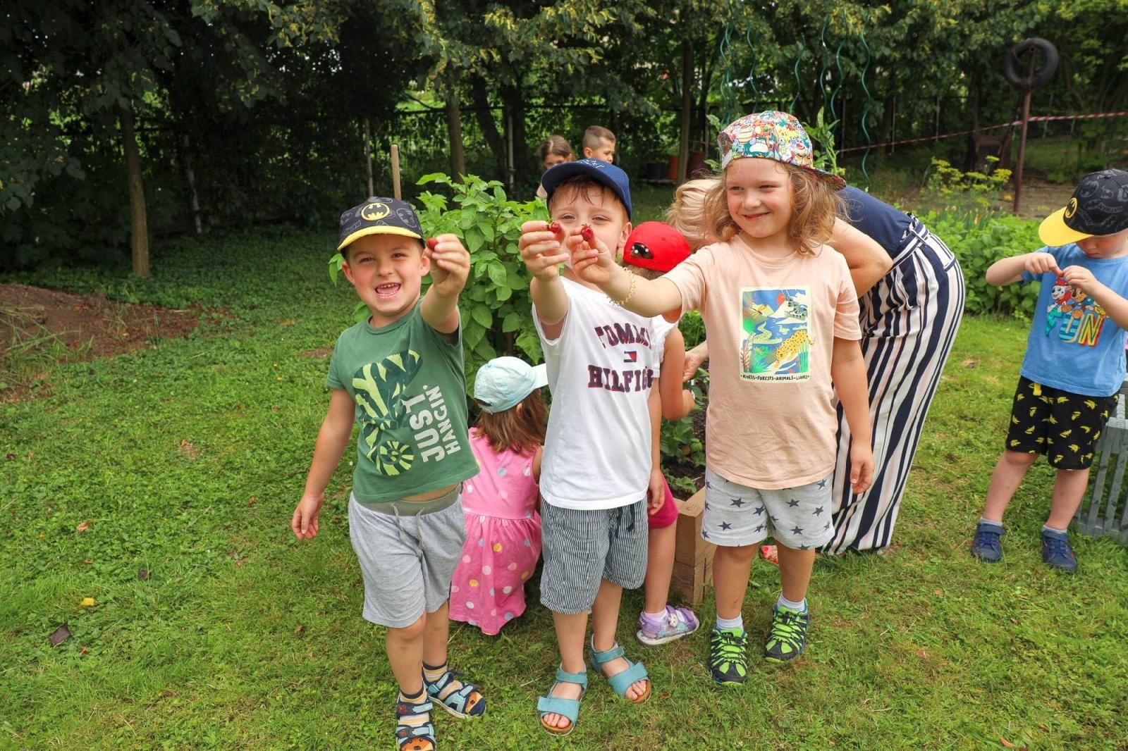 Zdjęcie w galerii na portalu naszraciborz.pl: Przedszkolaki delektują się smakiem owoców ze swoich ogródków wiadomości z regionu