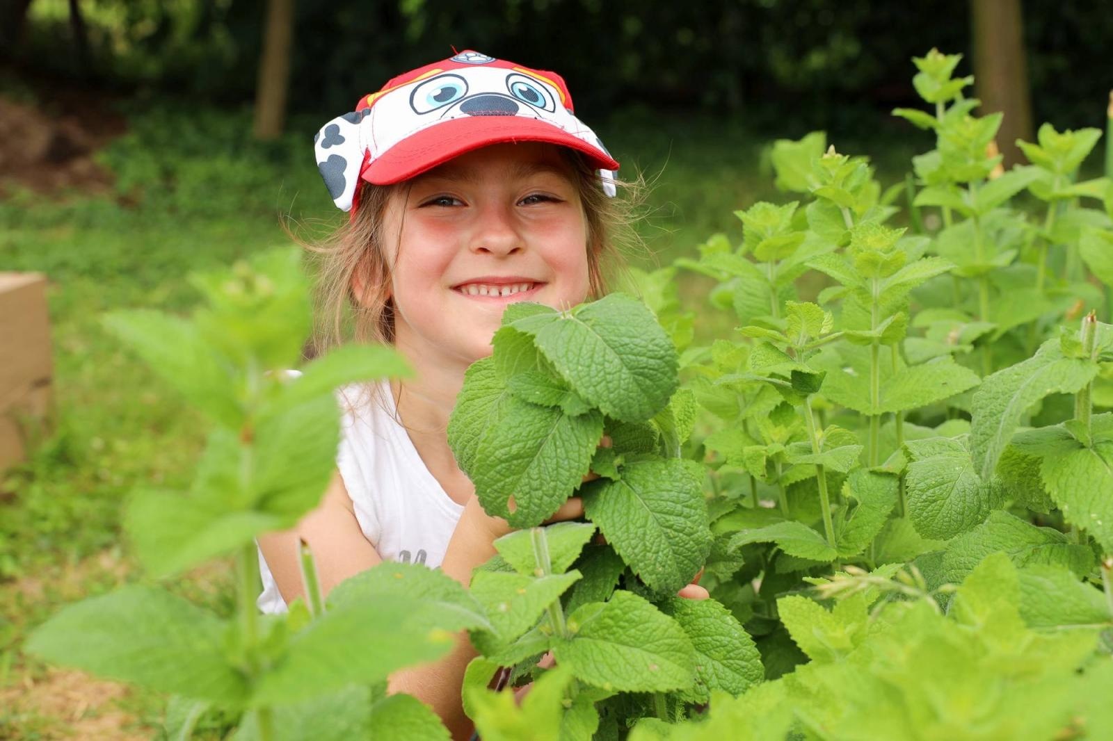 Zdjęcie w galerii na portalu naszraciborz.pl: Przedszkolaki delektują się smakiem owoców ze swoich ogródków wiadomości z regionu