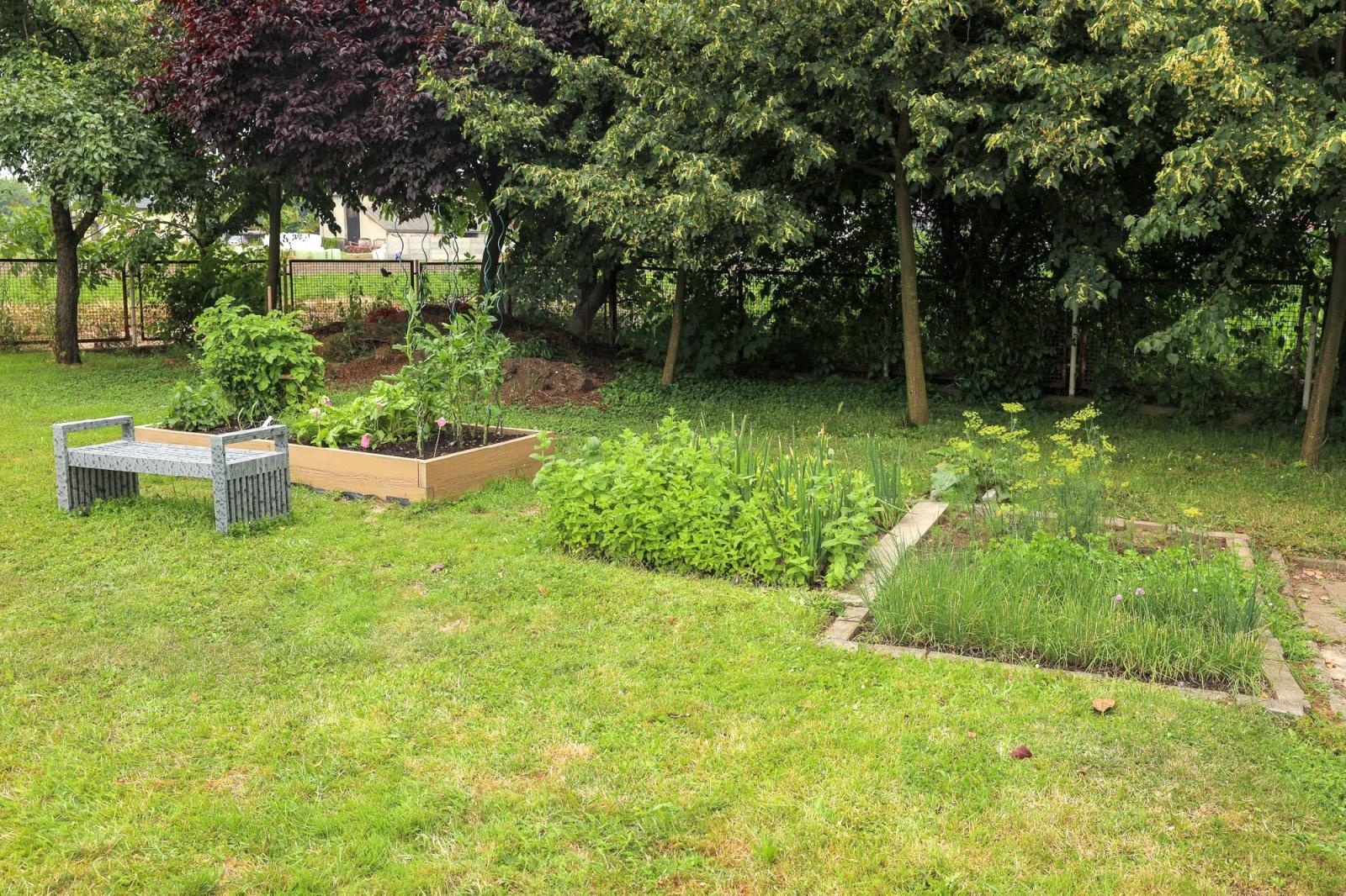 Zdjęcie w galerii na portalu naszraciborz.pl: Przedszkolaki delektują się smakiem owoców ze swoich ogródków wiadomości z regionu