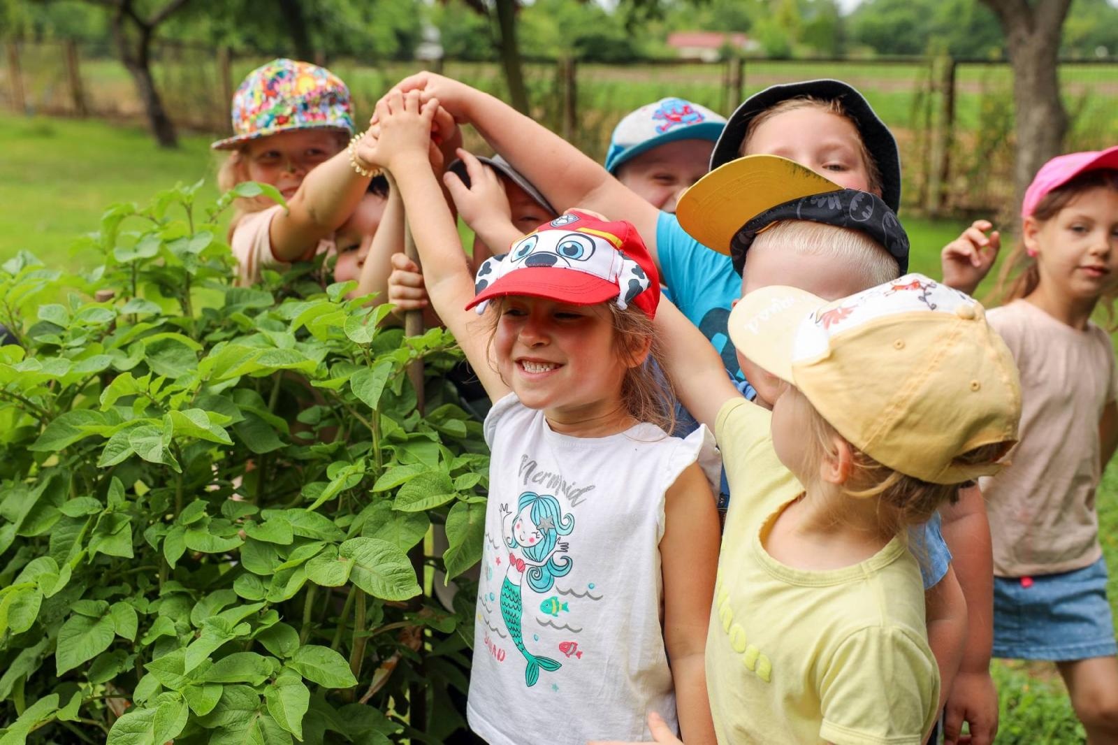 Zdjęcie w galerii na portalu naszraciborz.pl: Przedszkolaki delektują się smakiem owoców ze swoich ogródków wiadomości z regionu