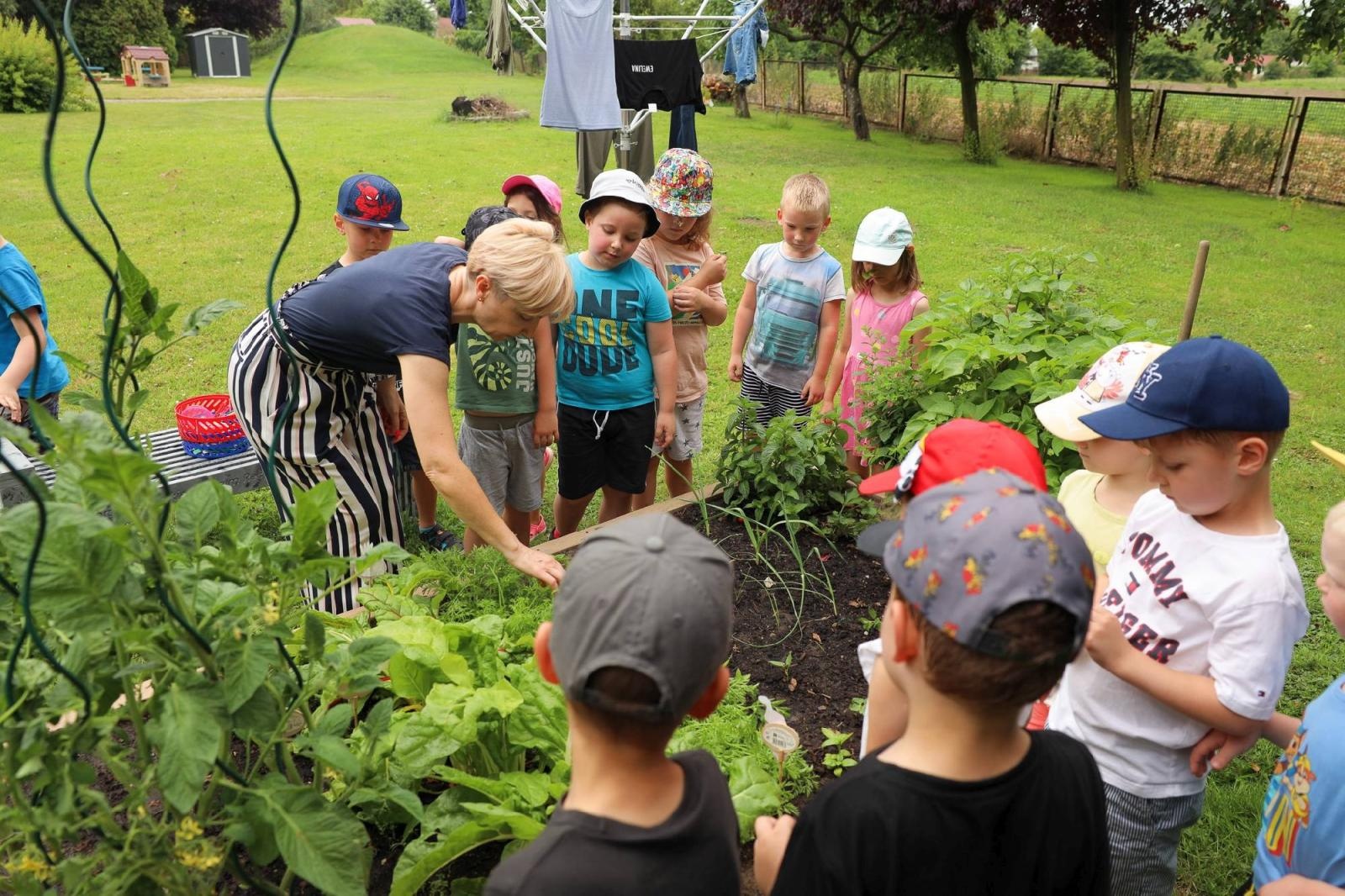 Zdjęcie w galerii na portalu naszraciborz.pl: Przedszkolaki delektują się smakiem owoców ze swoich ogródków wiadomości z regionu