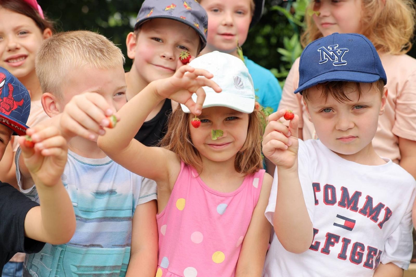 Zdjęcie w galerii na portalu naszraciborz.pl: Przedszkolaki delektują się smakiem owoców ze swoich ogródków wiadomości z regionu