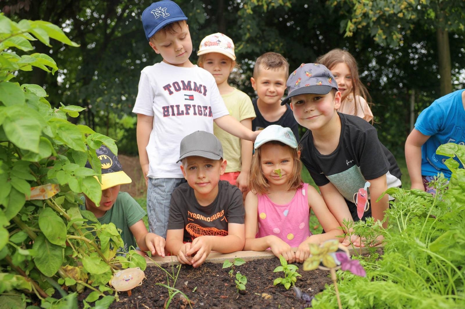 Zdjęcie w galerii na portalu naszraciborz.pl: Przedszkolaki delektują się smakiem owoców ze swoich ogródków wiadomości z regionu