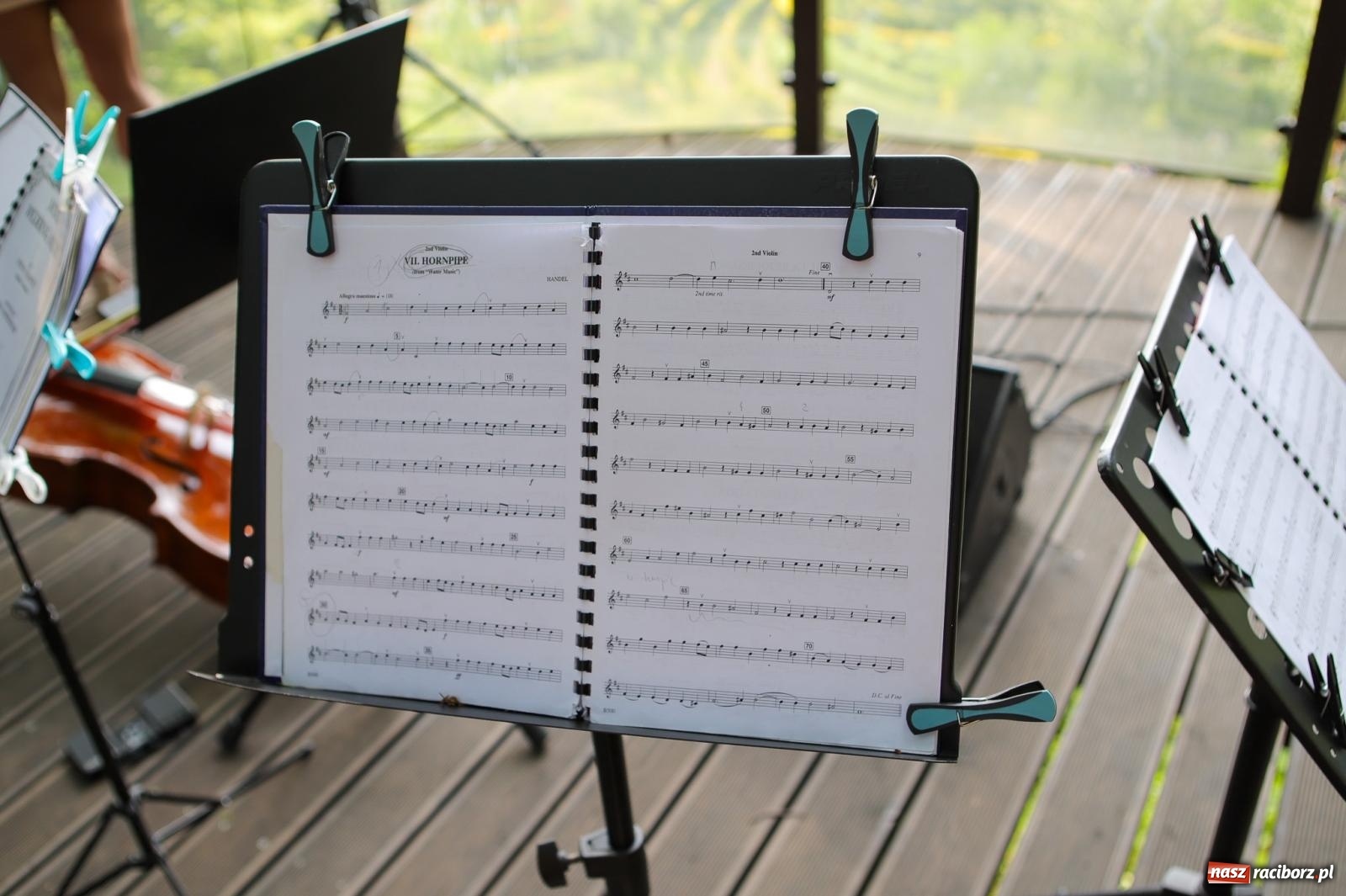 Zdjęcie w galerii na portalu naszraciborz.pl: Szlachetne smyczkowe brzmienie w raciborskim arboretum wiadomości z regionu