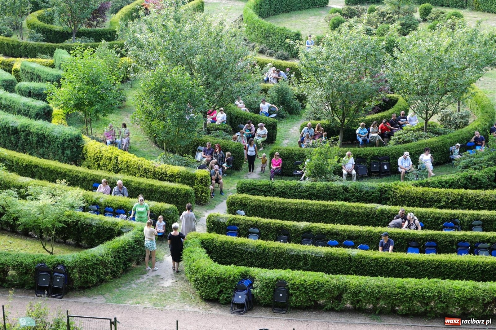 Zdjęcie w galerii na portalu naszraciborz.pl: Szlachetne smyczkowe brzmienie w raciborskim arboretum wiadomości z regionu