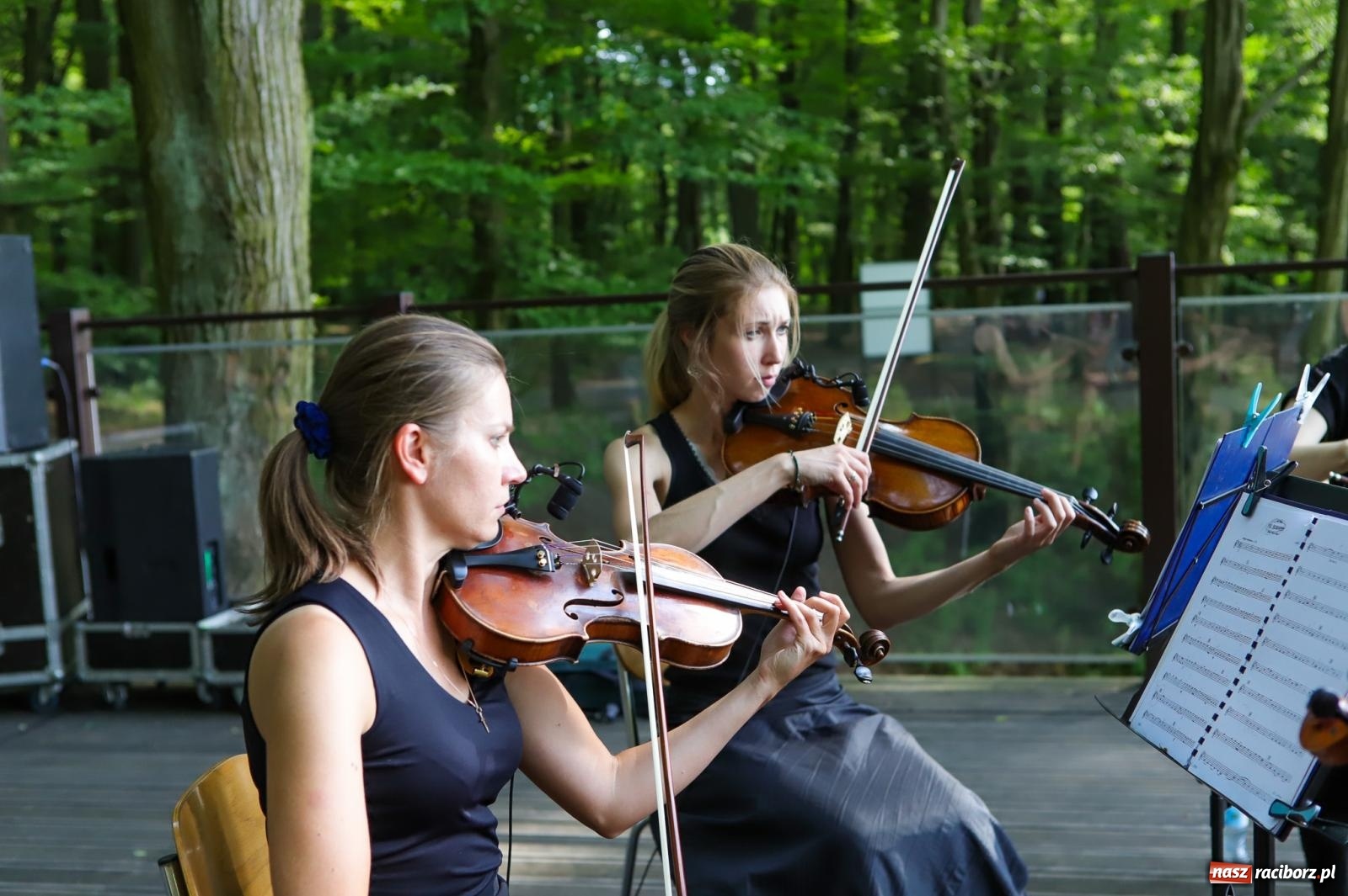 Zdjęcie w galerii na portalu naszraciborz.pl: Szlachetne smyczkowe brzmienie w raciborskim arboretum wiadomości z regionu
