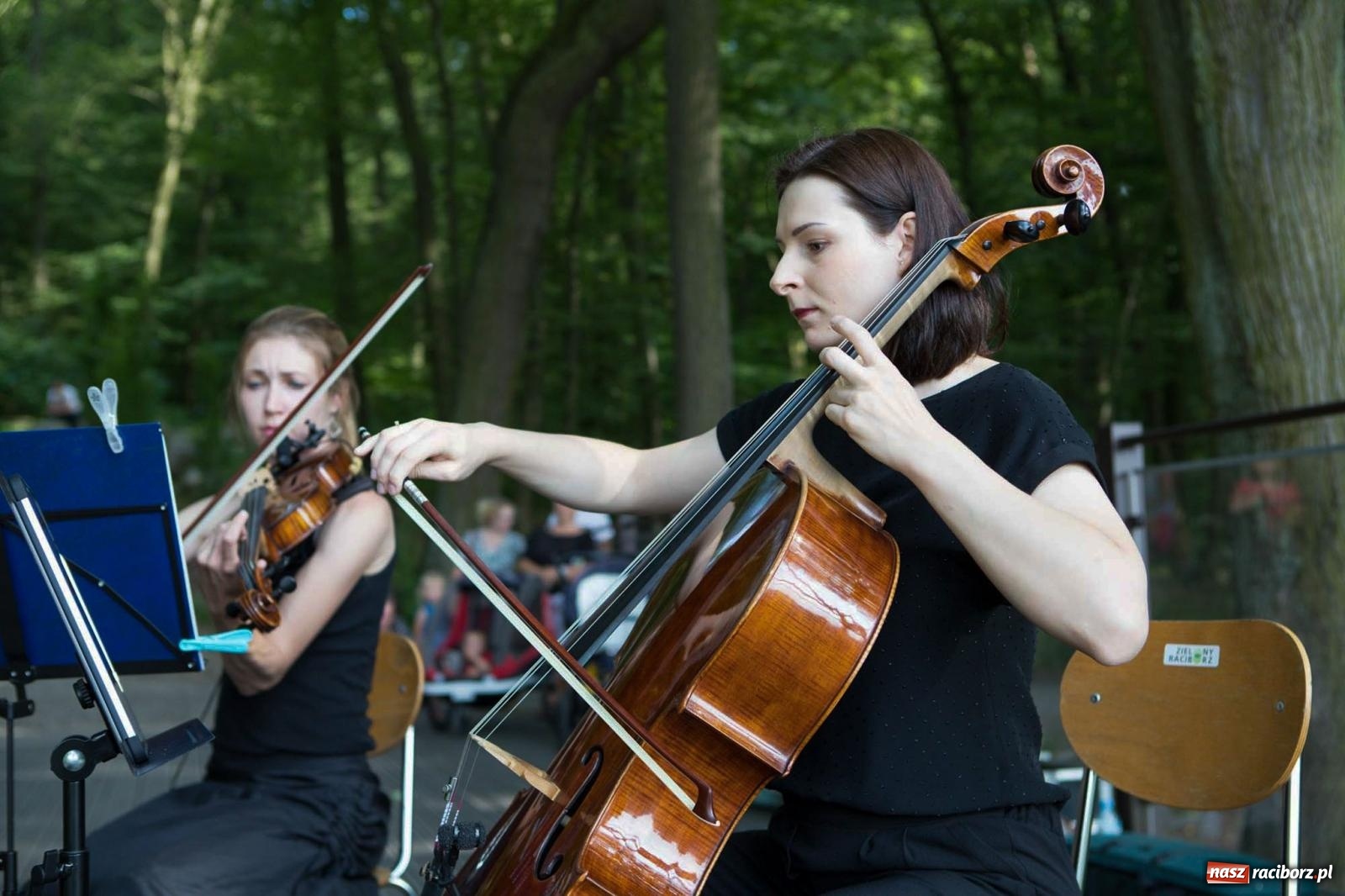 Zdjęcie w galerii na portalu naszraciborz.pl: Szlachetne smyczkowe brzmienie w raciborskim arboretum wiadomości z regionu
